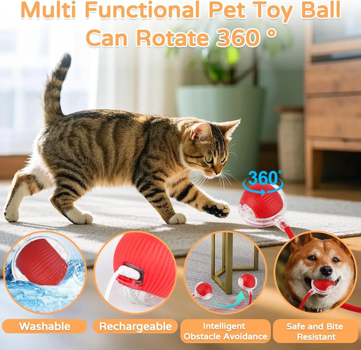 2025 New 3Pack Cat Ball Kitten Toys for Indoor Interactive Kitty Ball Toy Speedy Tail 360 Automatic Rolling(Red Grey Green)