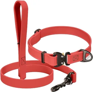 Biothane Bundle: 6 Ft Dog Leash and 1" Dog Collar with Cobra Buckle and QR Dog Tag ID