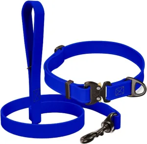 Biothane Bundle: 6 Ft Dog Leash and 3/4' Dog Collar with Cobra Buckle and QR Dog Tag ID