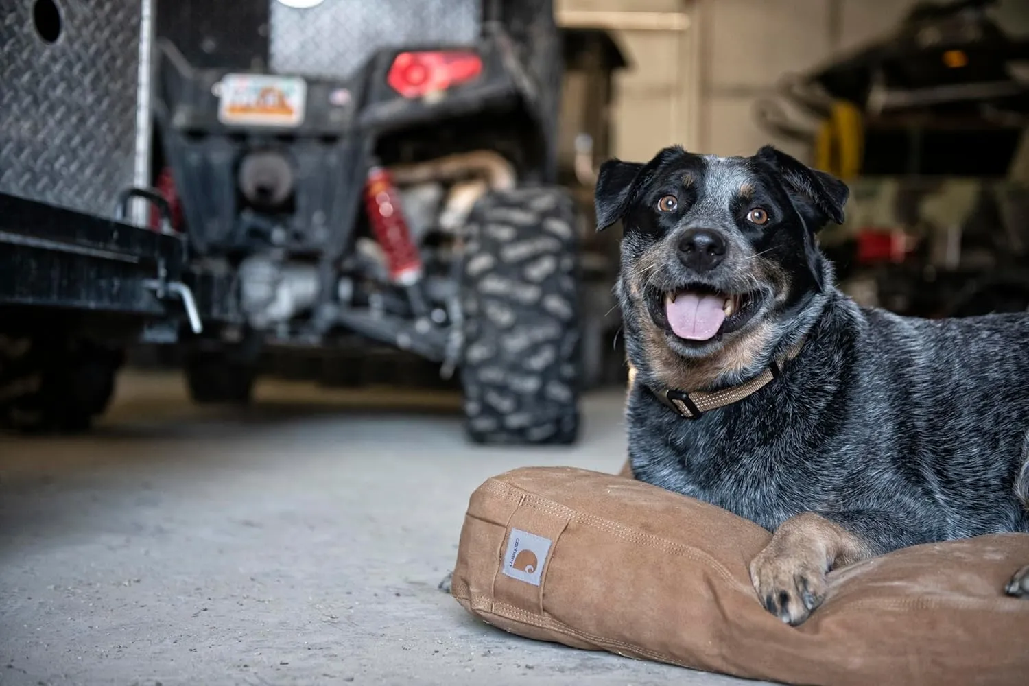 Carhartt Durable Canvas Pet Bed, Water Resistant Firm Duck Dog Bed, Carhartt Brown, Large
