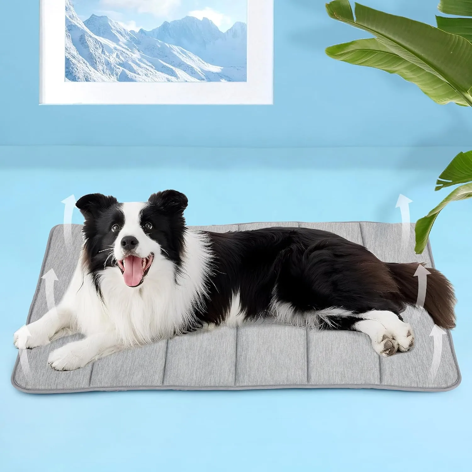 Chicute Dog Cooling Mat for Large Dogs - 35x23 Orthopedic Memory Foam Pet Pad for Summer, QMAX>0.5, Washable Premium Comfort Crate Pad for Your Furry Companion, Grey