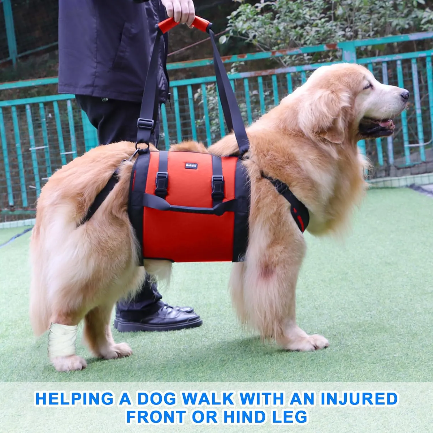 Dog Carry Sling, Emergency Backpack Pet Legs Support & Rehabilitation Dog Lift Harness for Large Dogs, Dog Carrier for Senior Dogs Joint Injuries, Arthritis, Up and Down Stairs (Red, XXL)