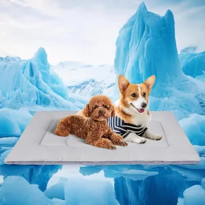 Dog Cooling Mat, Self-Cooling Pad Reversible(Cool & Warm), 37"x24" Medium, Pet Ice Silk Cool Bed for Dog and Cat use in Crate, Kennel, Bed, Sofa, Machine Washable, Durable, Non-Toxic Gel