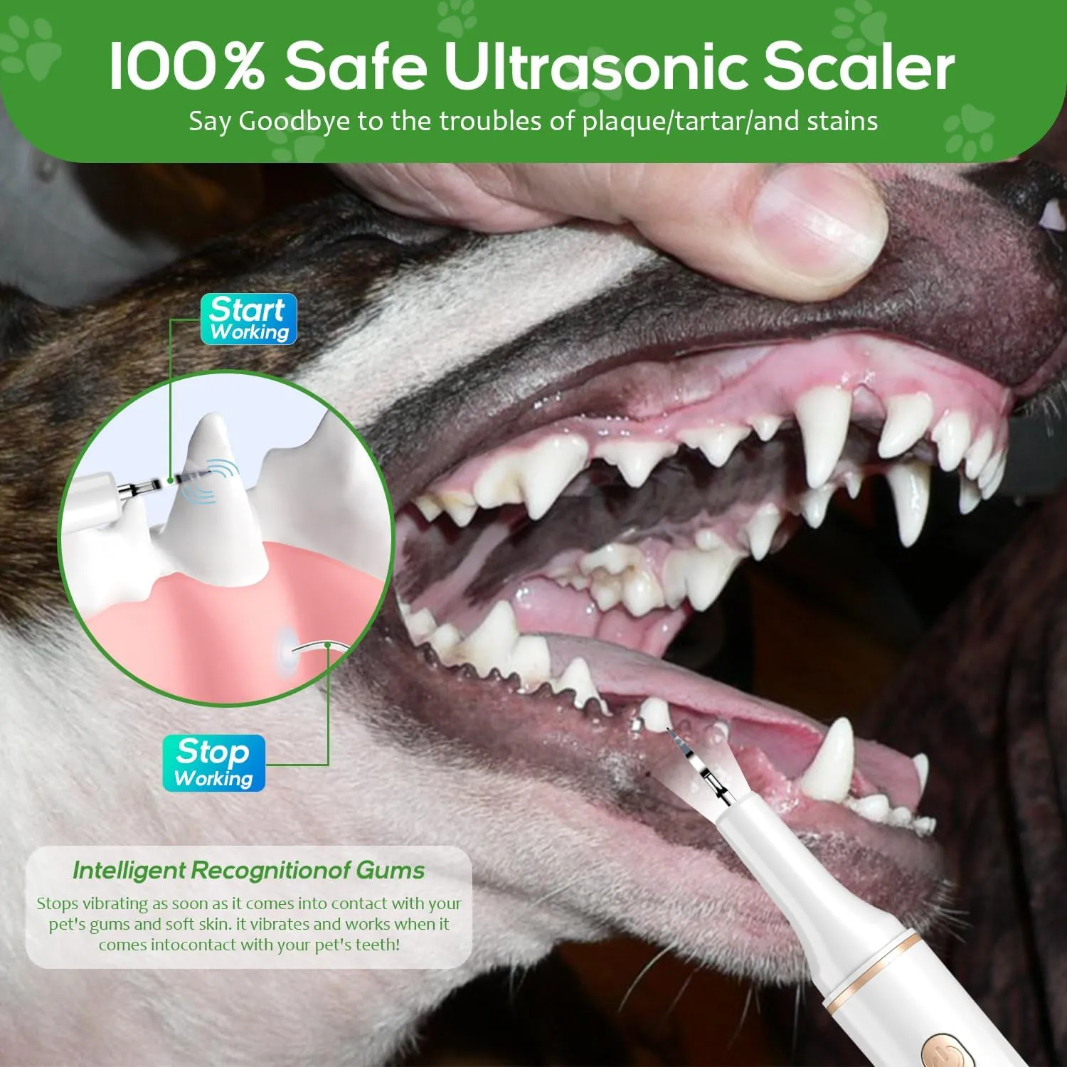 Dog Plaque and Tartar Remover, Plaque Remover for Teeth with LED Light, 5 Modes Dog Tartar Remover for Teeth 4 Set, Low Noise Ultrasonic Tooth Cleaning Kit Tool for Dogs and Cats White