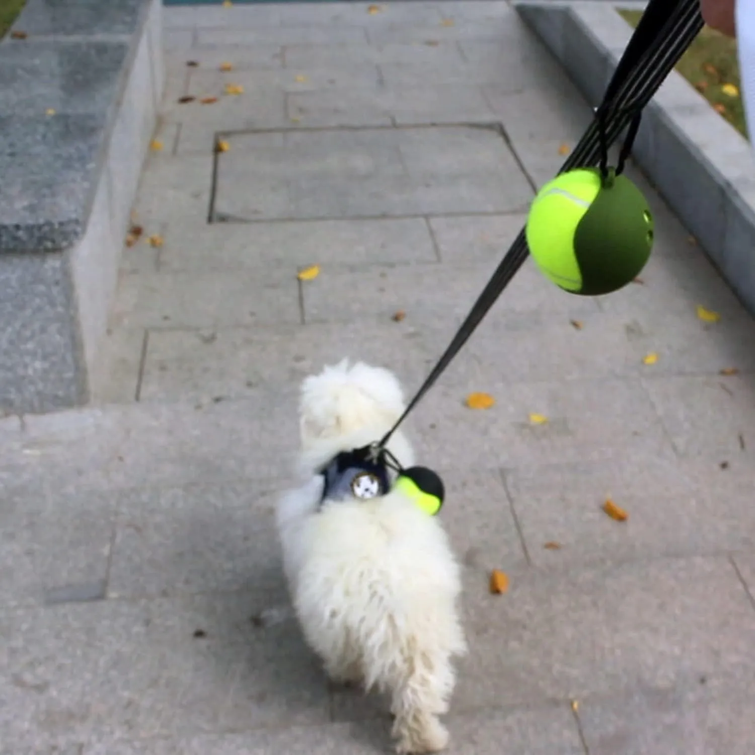 Dog Toy Ball Holder - Leash Attachment, Hands-Free, Pet Toys, Silicone, Lightweight, for All Breeds and Sizes, Fits Standard Tennis Balls - Tennis Ball NOT Included (Beige)