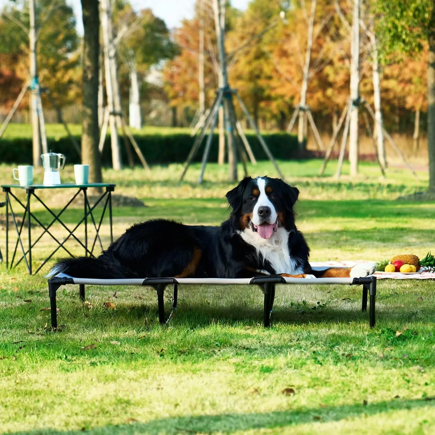EHEYCIGA 44 Inch Elevated Dog Cot Beds for Large Dogs, Raised Outdoor Dog Bed with Frame, Washable Breathable Cooling Teslin Mesh and Anti-Slip Feet, Lifted Hammock Indoor Pet Bed