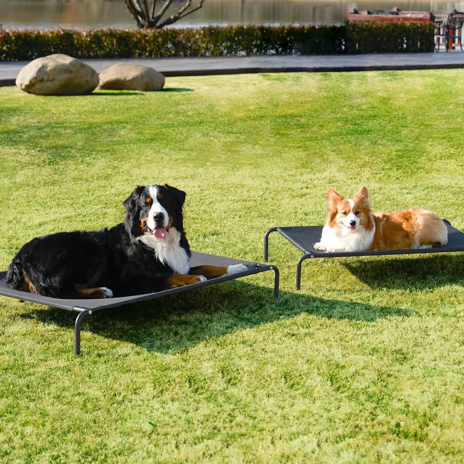 EHEYCIGA Elevated Dog Cot Beds for Large Dogs, Raised Outdoor Dog Hammock, Lifted Pet Platform with Frame and Washable Waterproof Cooling Teslin Mesh and Anti-Slip Feet, 43x26 inch