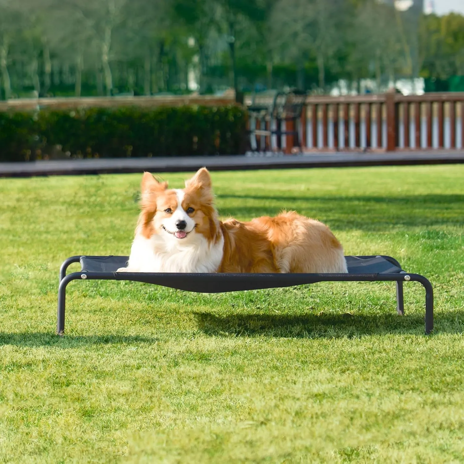 EHEYCIGA Elevated Dog Cot Beds for Large Dogs, Raised Outdoor Dog Hammock, Lifted Pet Platform with Frame and Washable Waterproof Cooling Teslin Mesh and Anti-Slip Feet, 43x26 inch