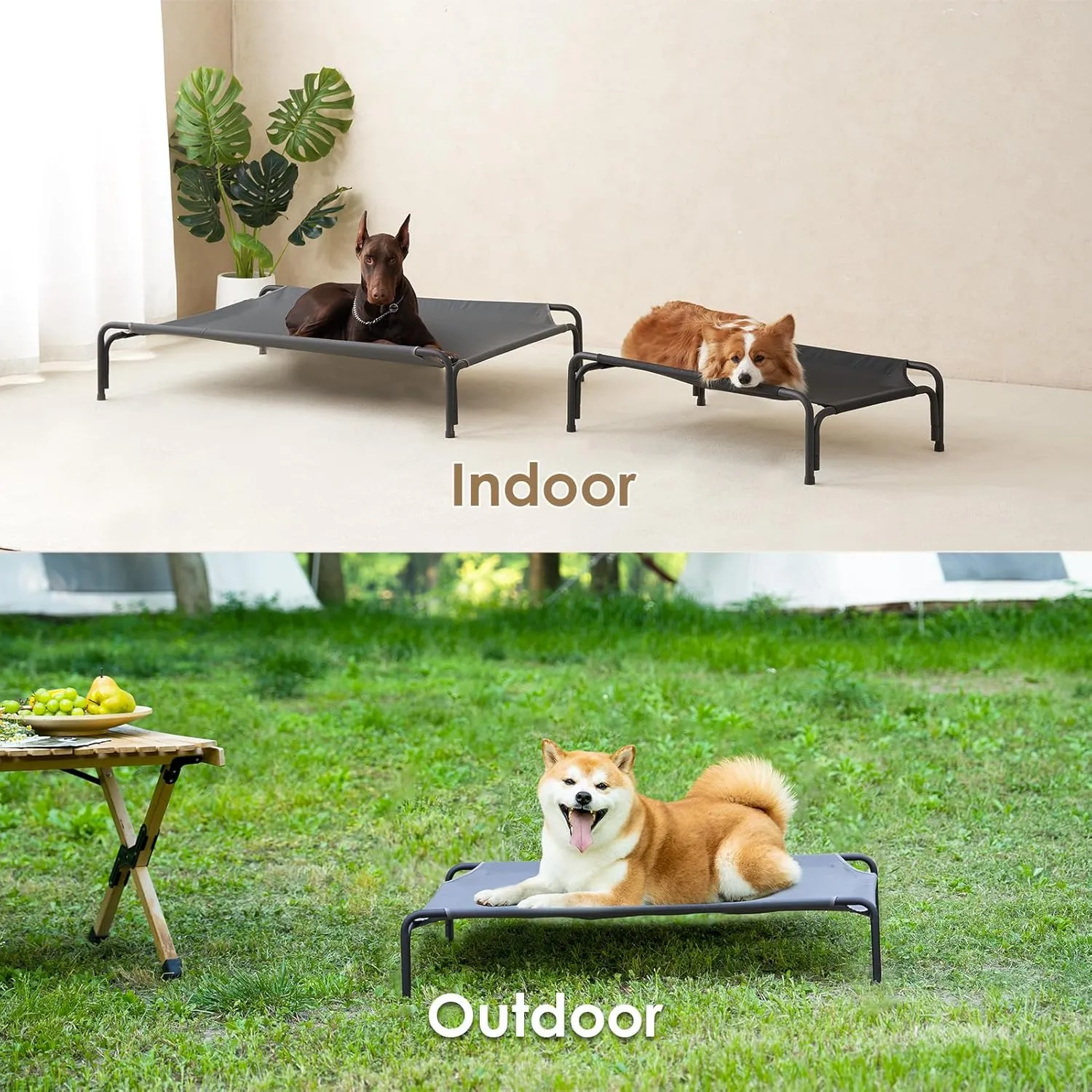EHEYCIGA Reinforced Elevated XL Dog Cot Bed, Raised Outdoor Dog Hammock for Extra Large XLarge Dogs, Lifted Pet Platform with Frame and Washable Waterproof Teslin Mesh and Anti-Slip Feet, 47x31 inch