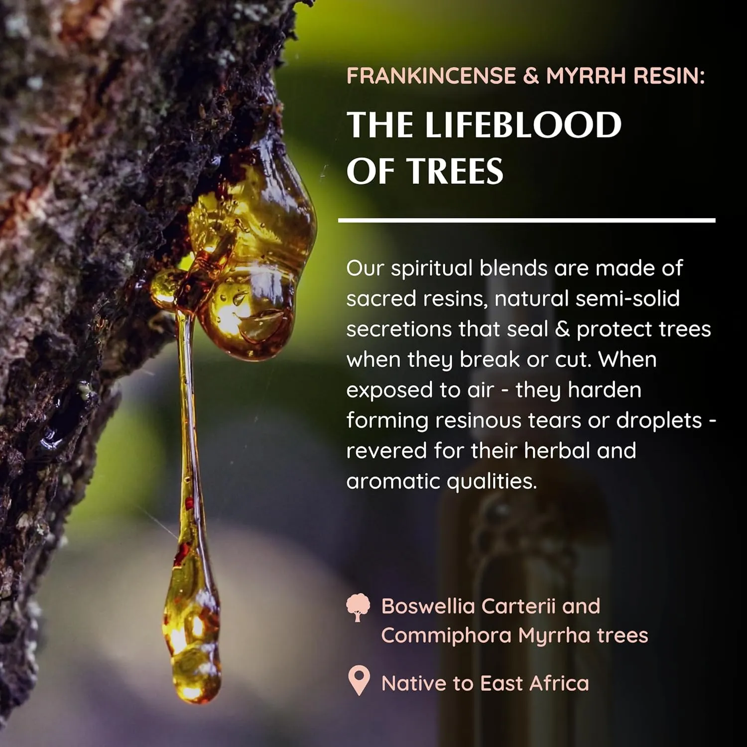 Frankincense & Myrrha Natural Resin Mist Spray by Aromafume | 100 ml / 3.3oz | Ideal for deep relaxation, spirituality & rituals | Made with Pure Resin from Somalia | Non-alcoholic, non-toxic & vegan