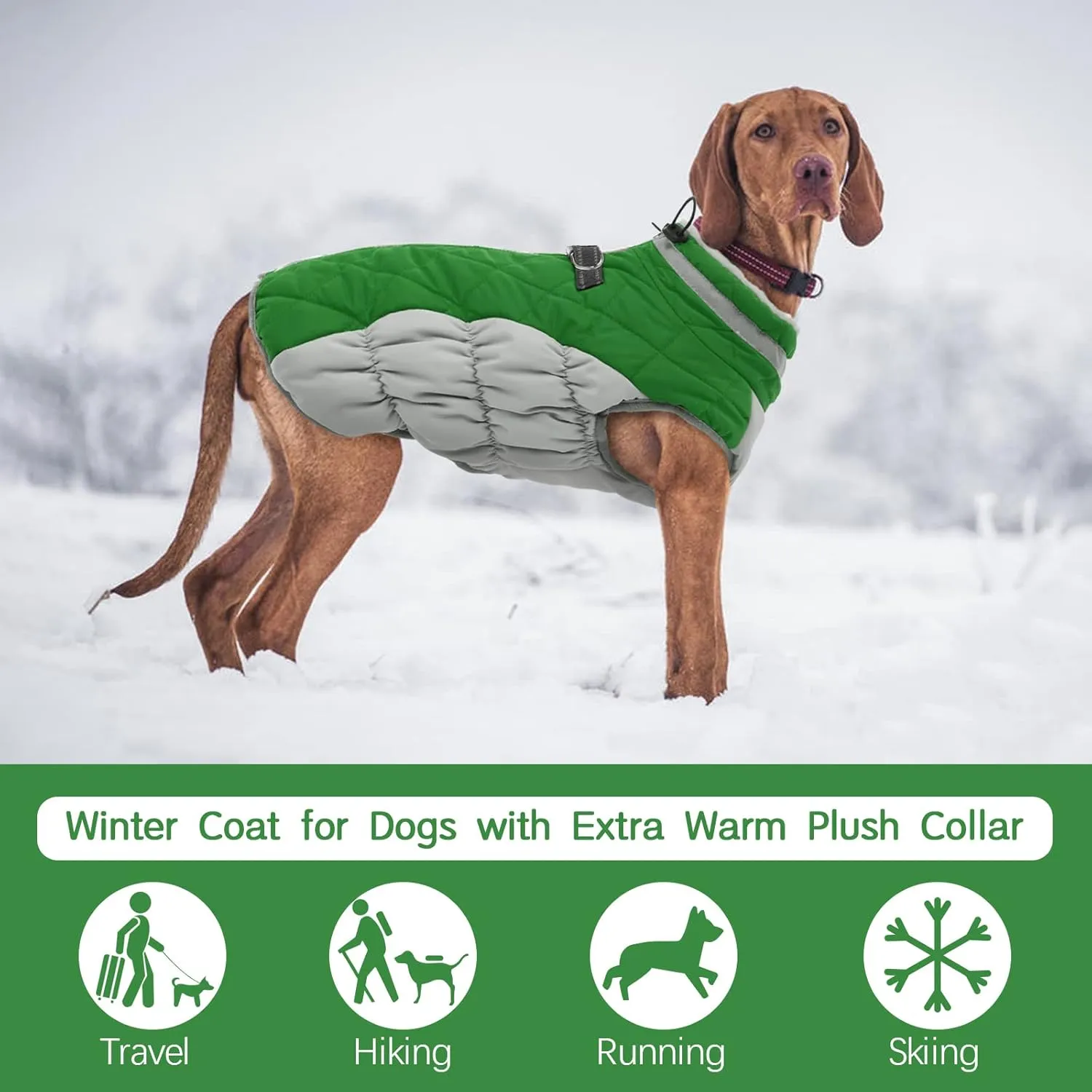FUAMEY Dog Coat - Warm Winter Jacket with Padded Fleece, Reflective, Waterproof & Windproof, Built-in Harness, Green, Large