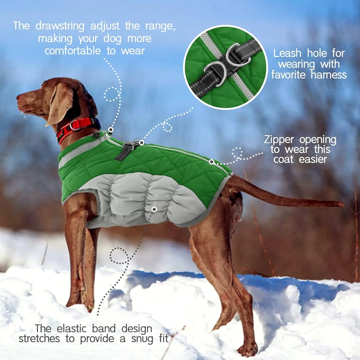FUAMEY Dog Coat - Warm Winter Jacket with Padded Fleece, Reflective, Waterproof & Windproof, Built-in Harness, Green, Large
