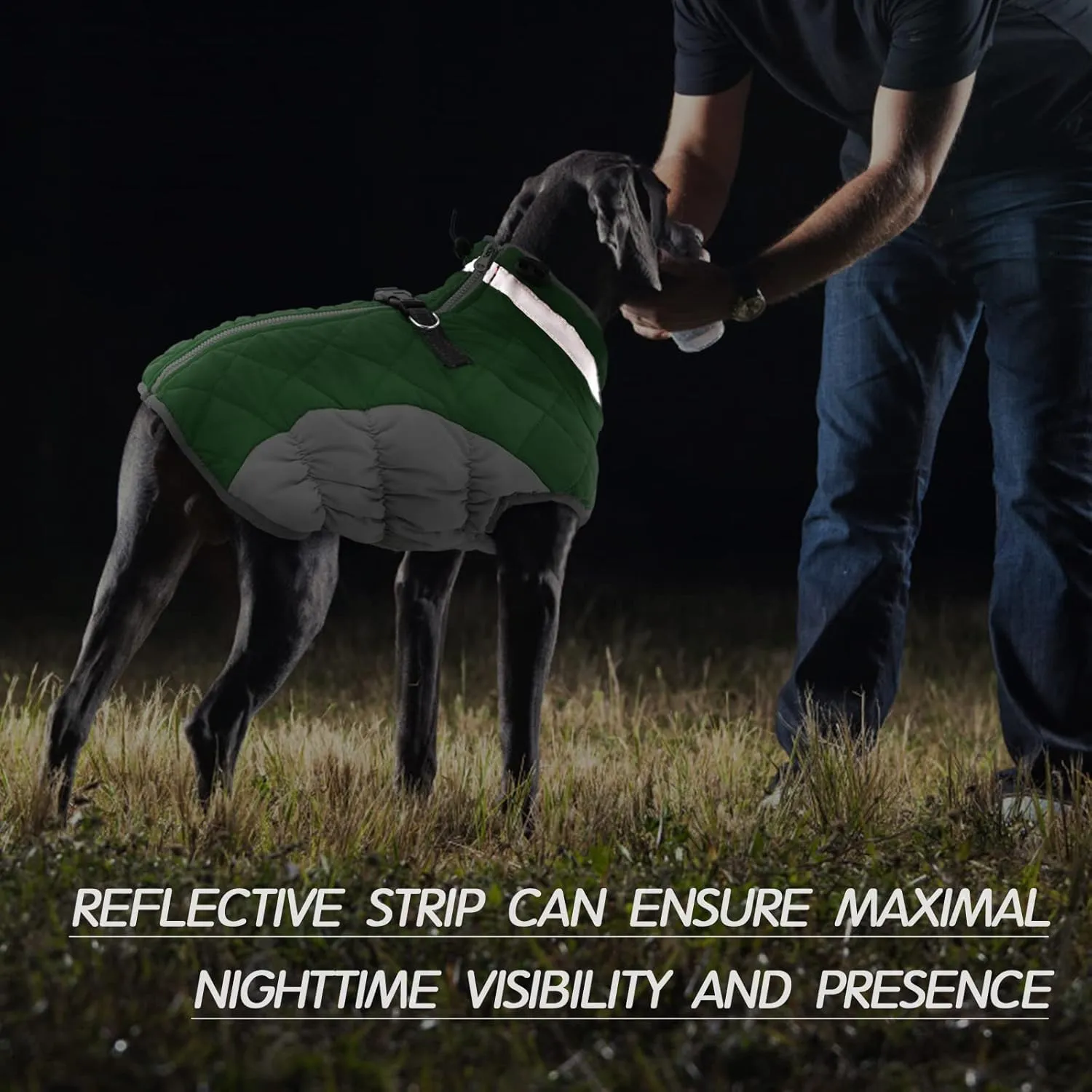 FUAMEY Dog Coat - Warm Winter Jacket with Padded Fleece, Reflective, Waterproof & Windproof, Built-in Harness, Green, Large