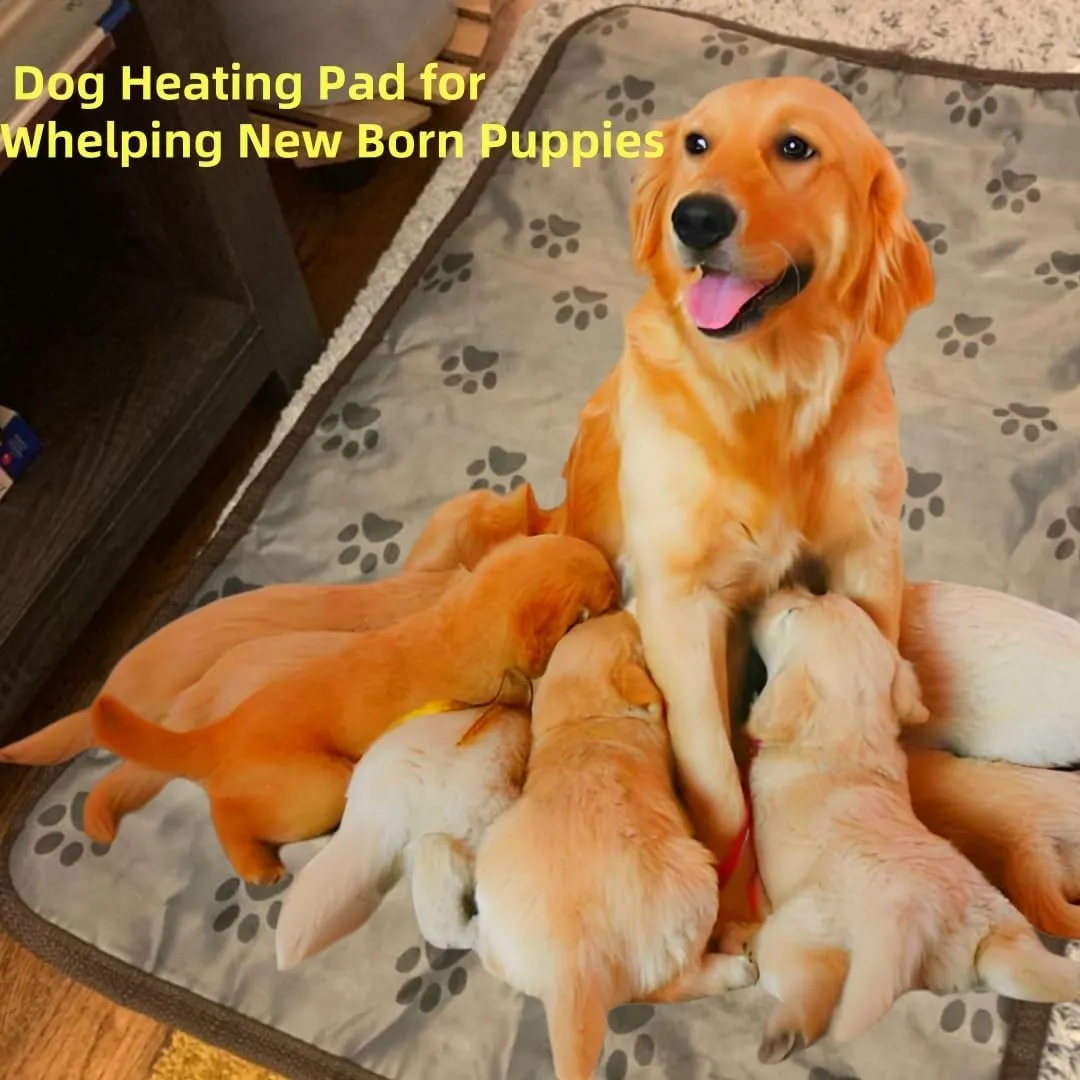 Heated Dog Bed Electric Pet Heating Pad for Small Medium Animal New Born Puppy Puppies Whelping,IPX2 Waterproof Large Indoor Doghouse (Large, Animal Print)