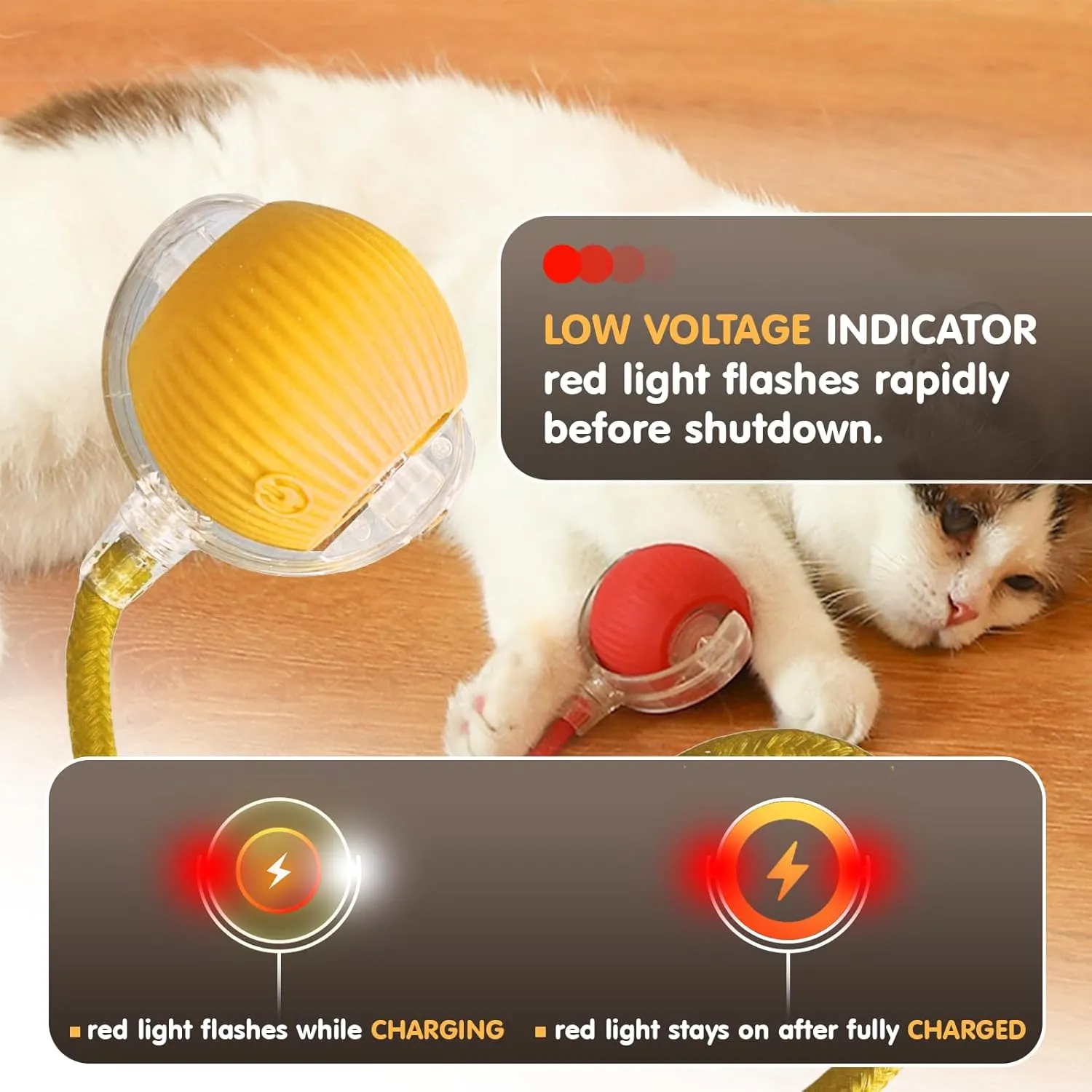 Interactive Cat Toy for Indoor, Smart Automatic Cat Chase Ball Toy