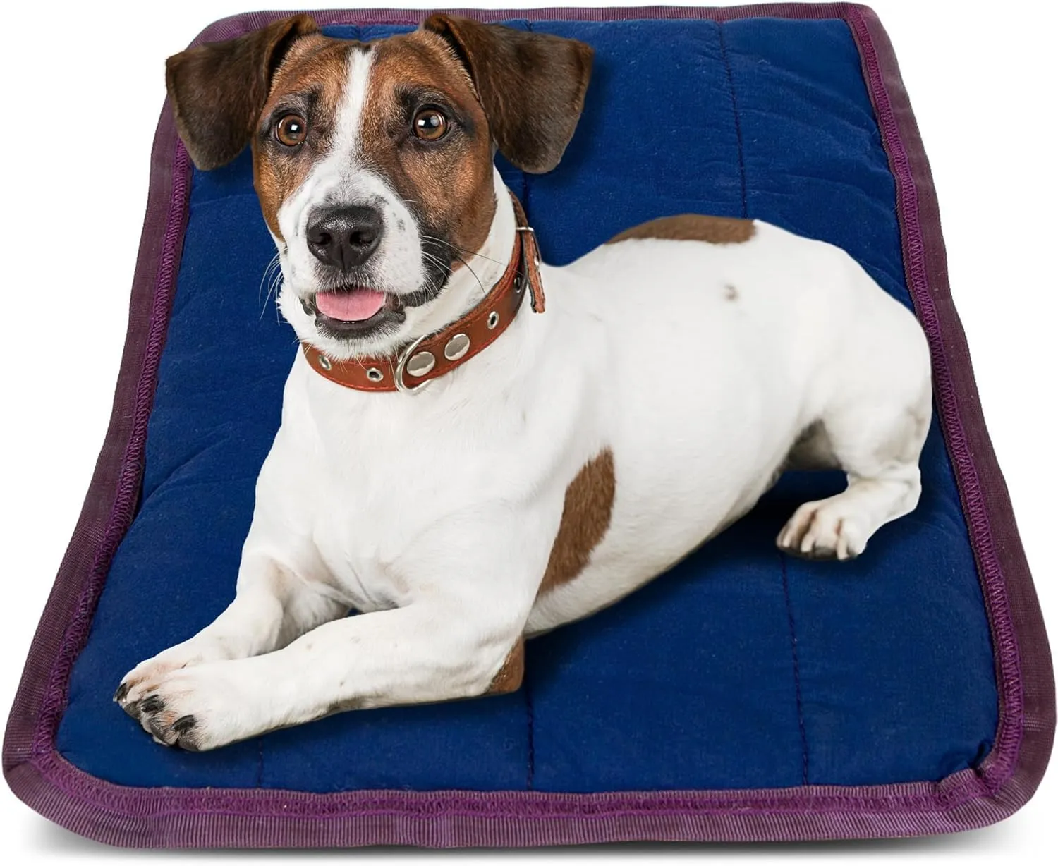 Jeffers Pet Comfort Dog Pillow, XL 36" x 48", Navy Blue  Machine Washable Dog Bed for House, Sofa, Crate & Travel  Poly Cotton Shell, Winter Warmth, Soft, Comfy, Durable, Top Pet Bedding