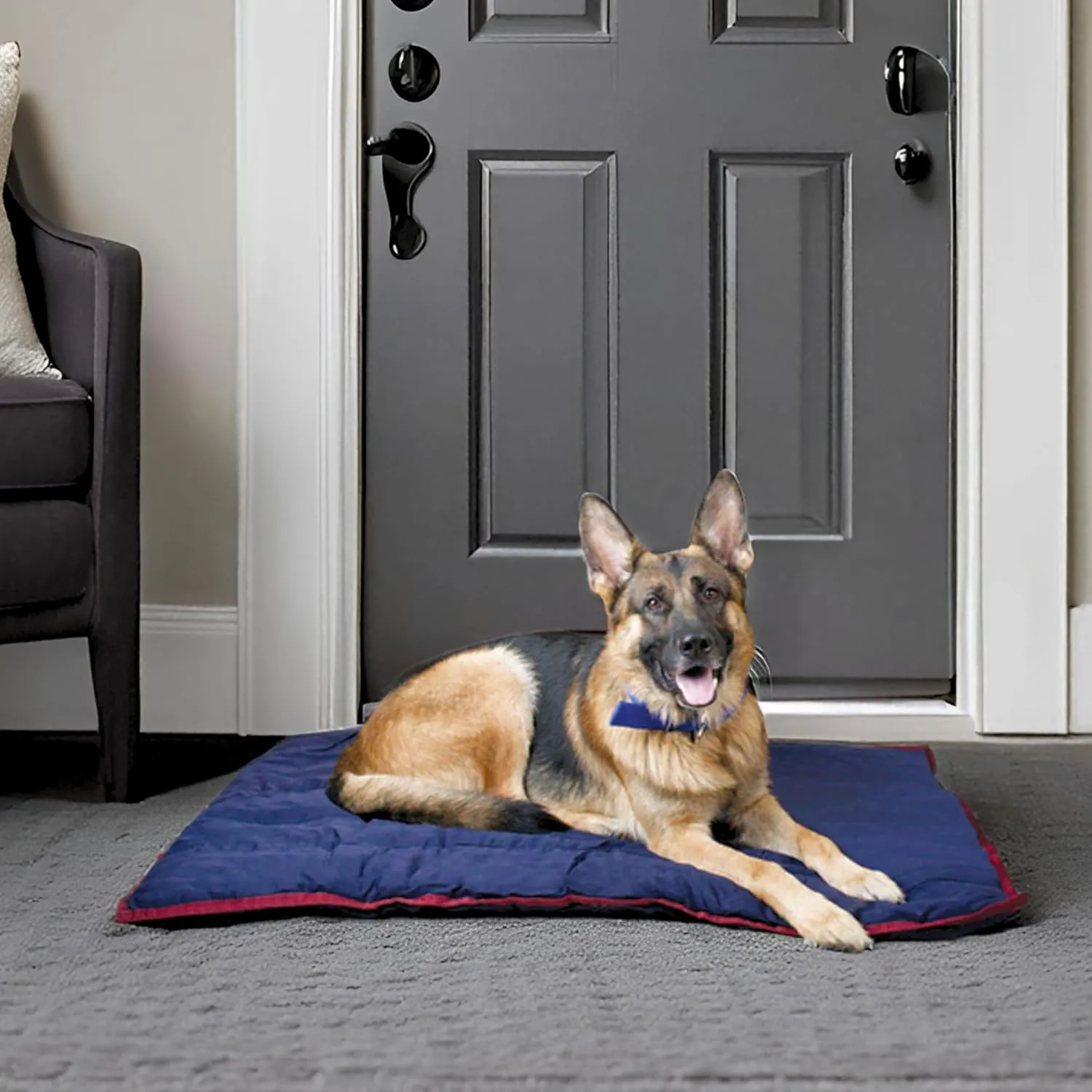 Jeffers Pet Comfort Dog Pillow, XL 36" x 48", Navy Blue  Machine Washable Dog Bed for House, Sofa, Crate & Travel  Poly Cotton Shell, Winter Warmth, Soft, Comfy, Durable, Top Pet Bedding