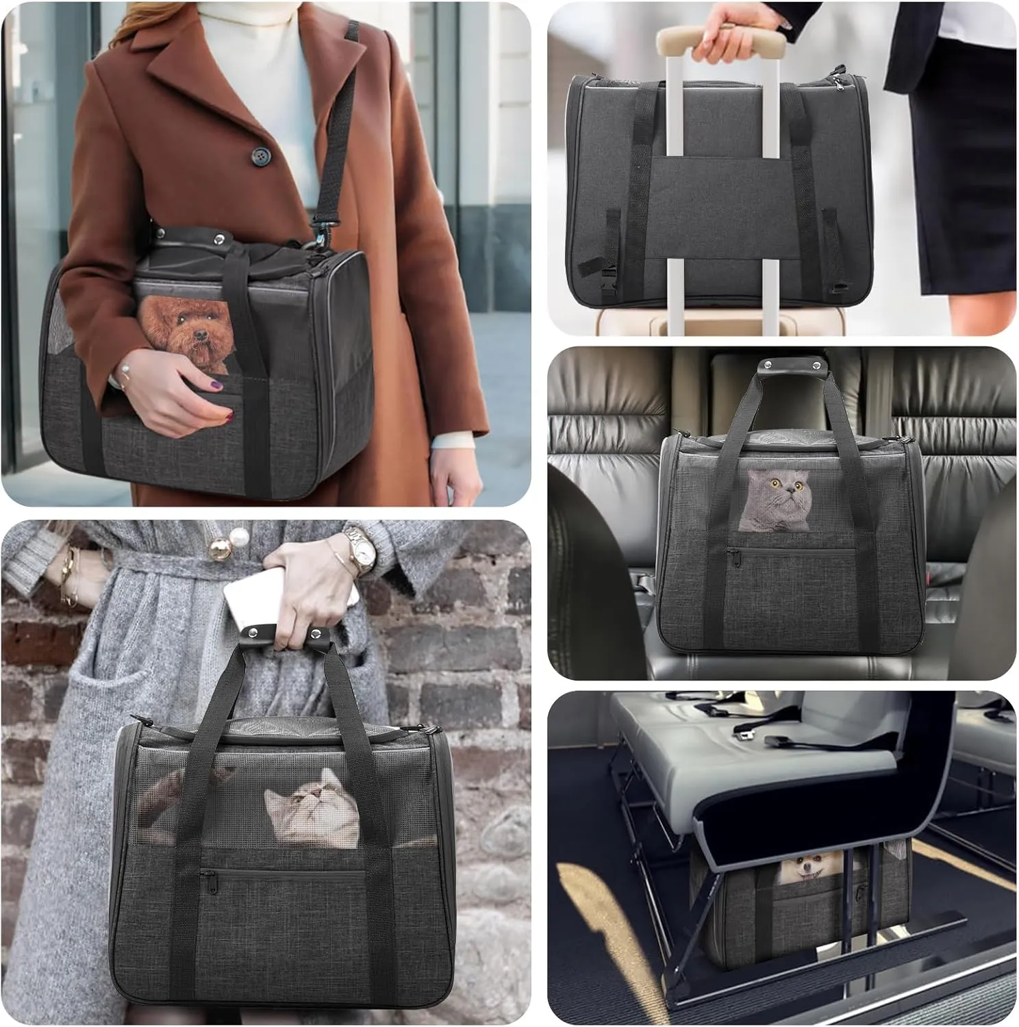 JUNGYOUN Premium Cat Carrier - Pet Carrier for Cat & Small Dogs up to 15lbs - Airline Approved Travel Dog Carrier with Anti-Escape Zippers, Collapsible Travel Bowl & Padded Strap,Dark Grey