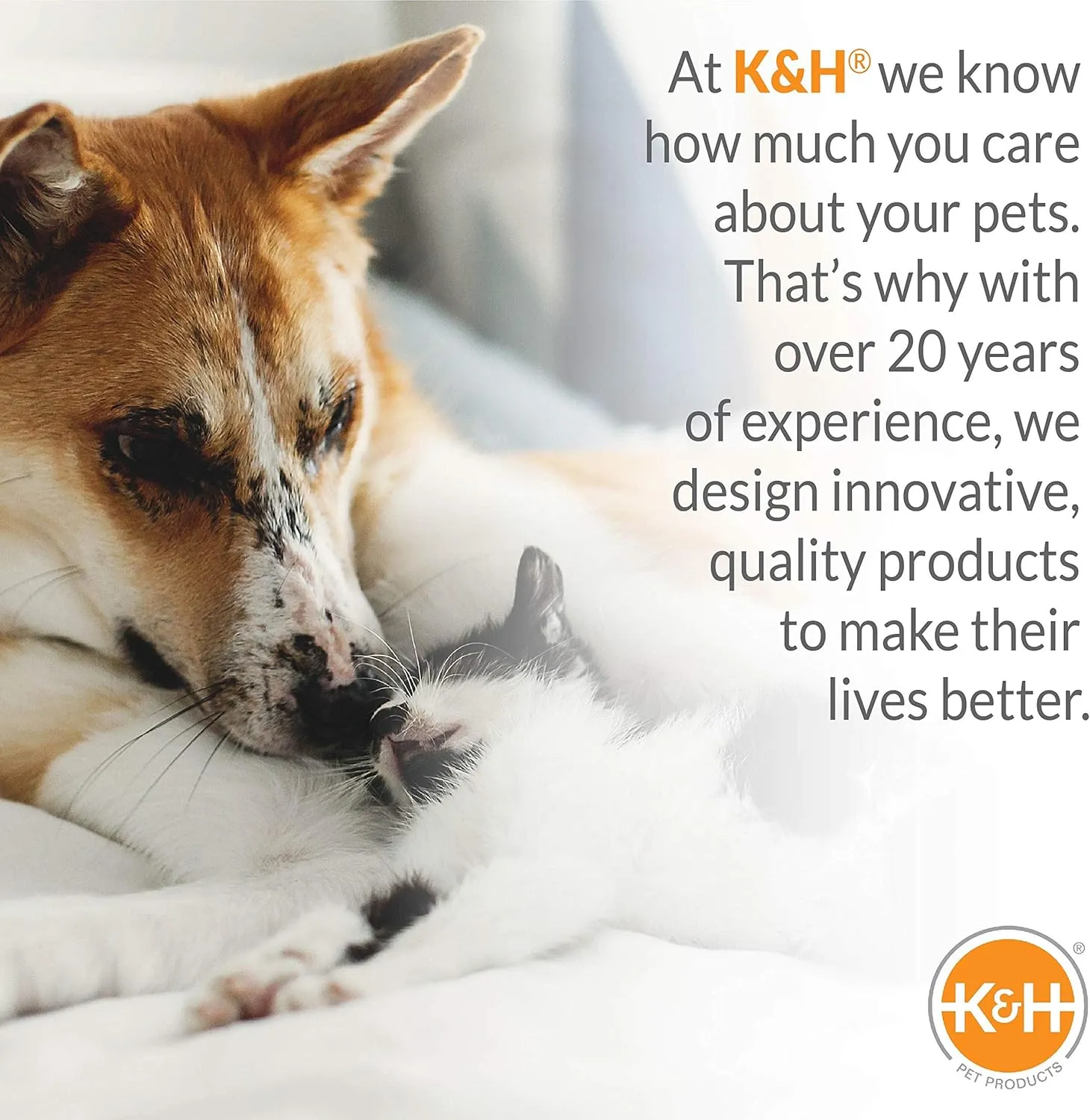 K&H Pet Products Bolster Dog Cot Cooling Indoor/Outdoor Elevated Dog Bed Hammock with Removable Bolsters, Washable Mesh Cover, Raised Camping Dog Bed for Small Dogs or Cats - Charcoal Small 17" X 22"