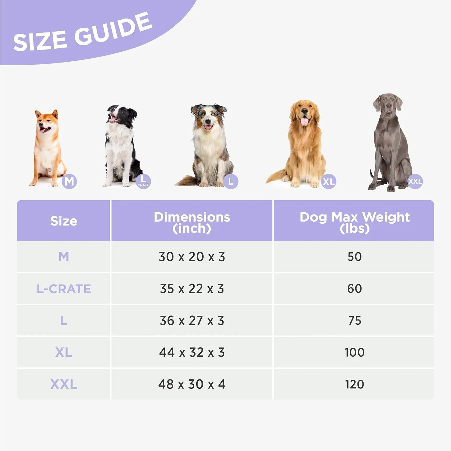 Lesure Outdoor Waterproof Dog Beds Large Sized Dog, Orthopedic Egg Crate Foam Pet Bed with Oxford Fabric Surface and Removable Washable Cover, Pet Mat 36''x27'', Green