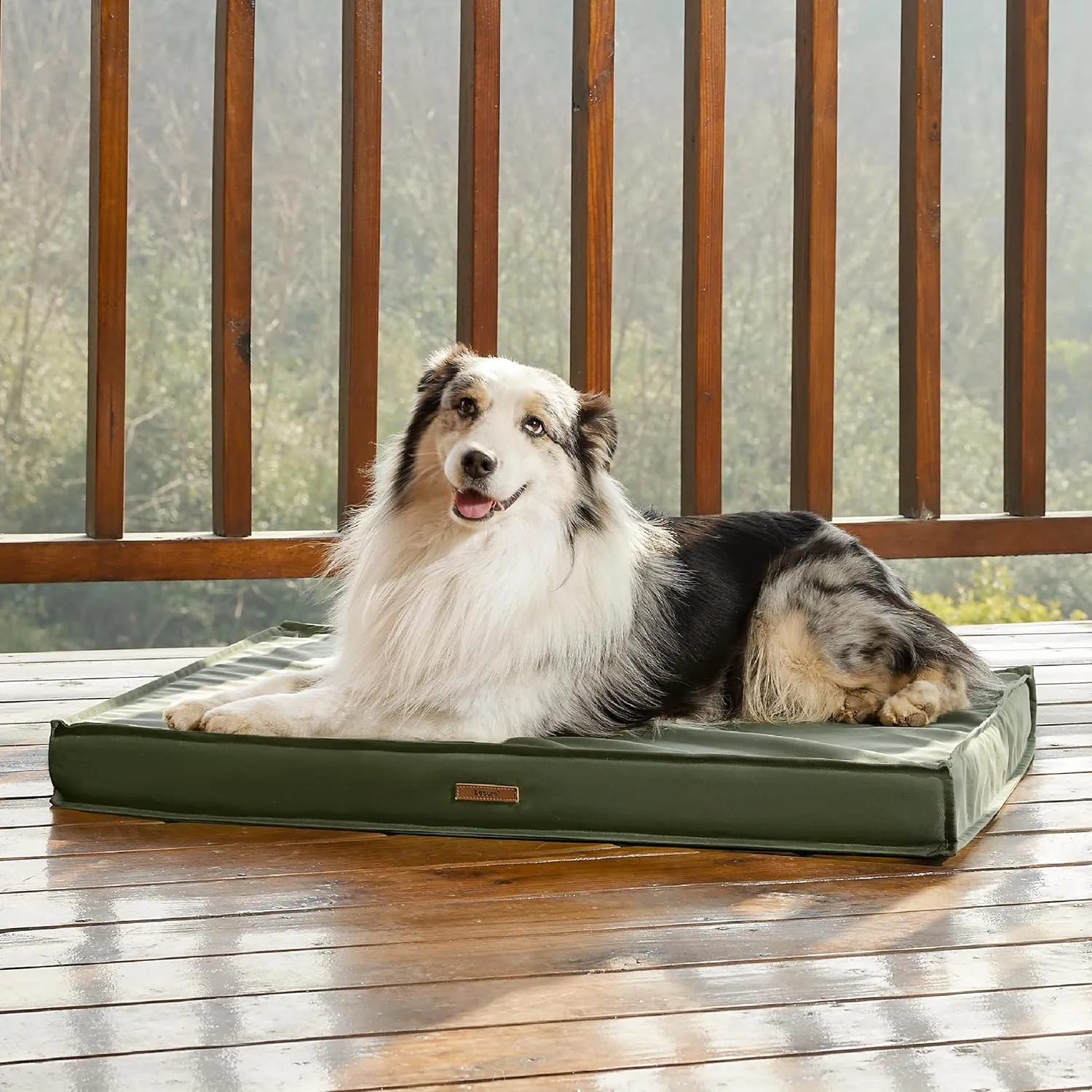 Lesure Outdoor Waterproof Dog Beds Large Sized Dog, Orthopedic Egg Crate Foam Pet Bed with Oxford Fabric Surface and Removable Washable Cover, Pet Mat 36''x27'', Green