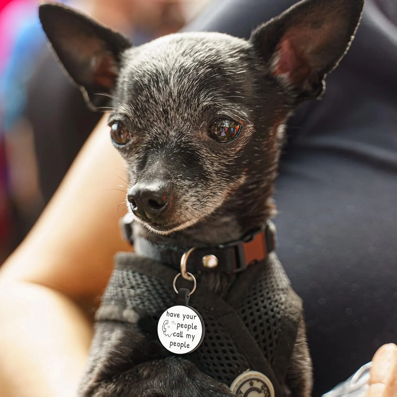 MYLUCKYTAG QR Code Silicone Dog Cat Tag with Online Pet Profile, Location Alert, Quiet & Durable