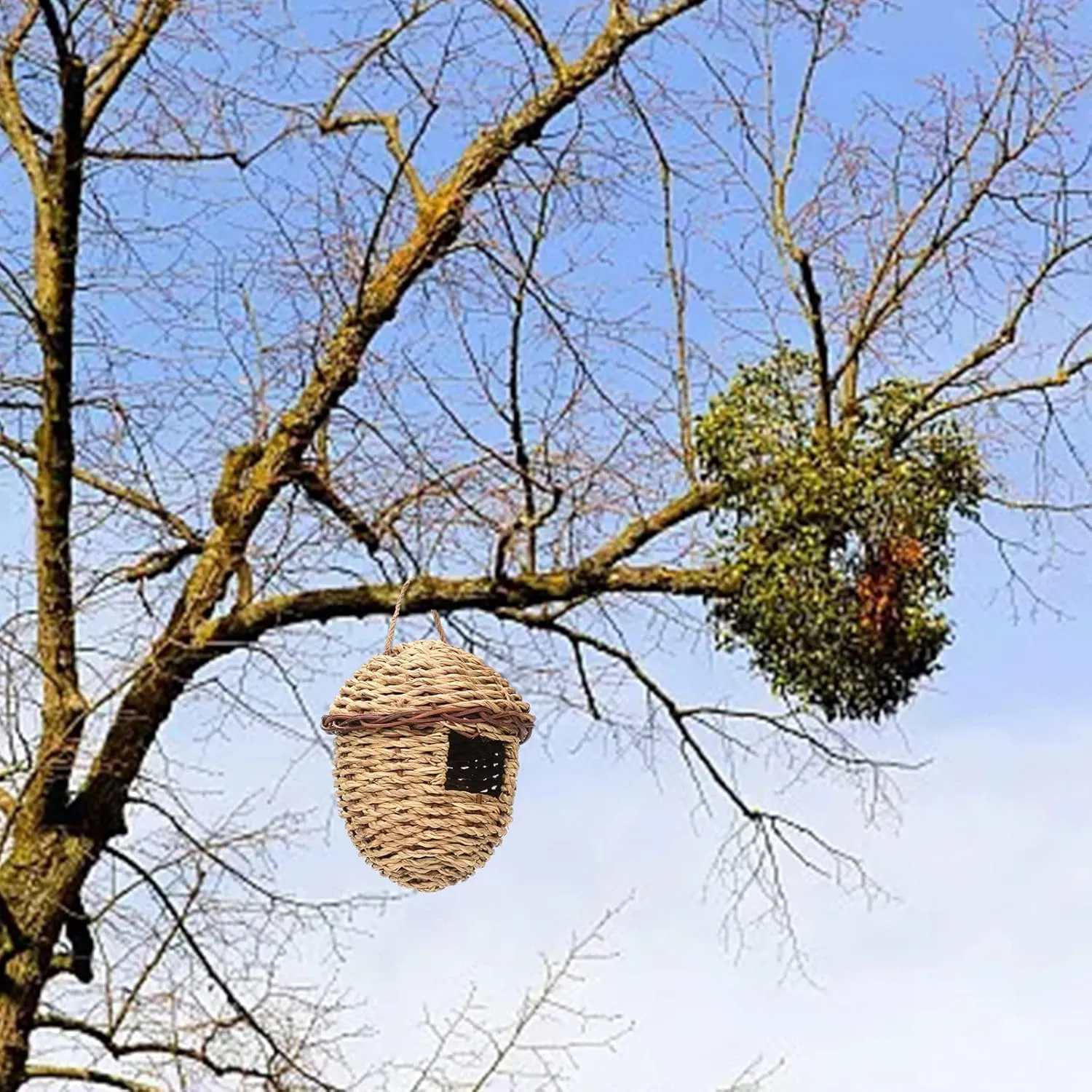 Pack Hummingbird House Hand Woven Bird Nest For Outdoors Hanging Small Grass Bird Houses For Outside Natural Fiber Bird Hut Roosting Pocket For Chickadee Chicken Water Feeder (Pink, One Size)