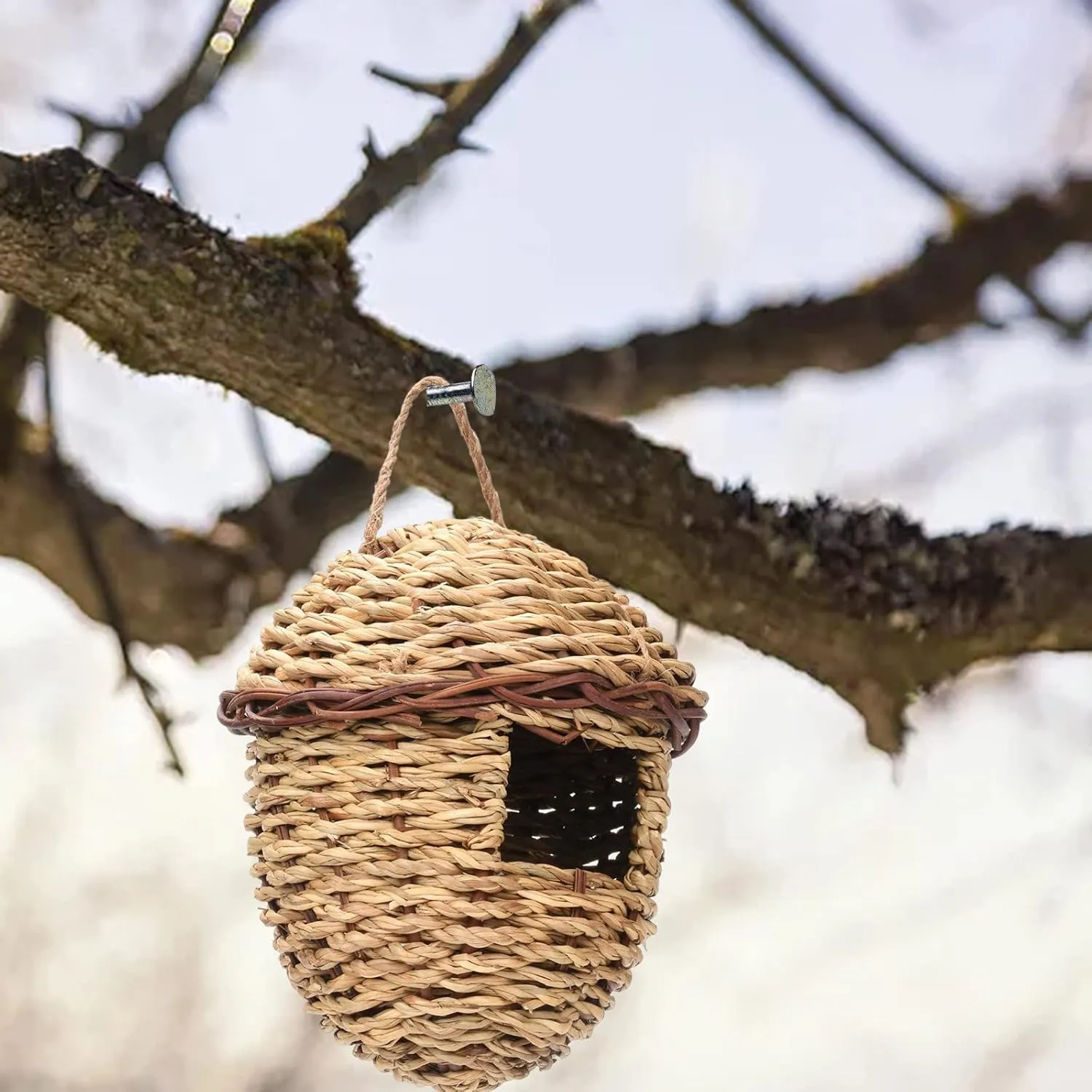Pack Hummingbird House Hand Woven Bird Nest For Outdoors Hanging Small Grass Bird Houses For Outside Natural Fiber Bird Hut Roosting Pocket For Chickadee Chicken Water Feeder (Pink, One Size)