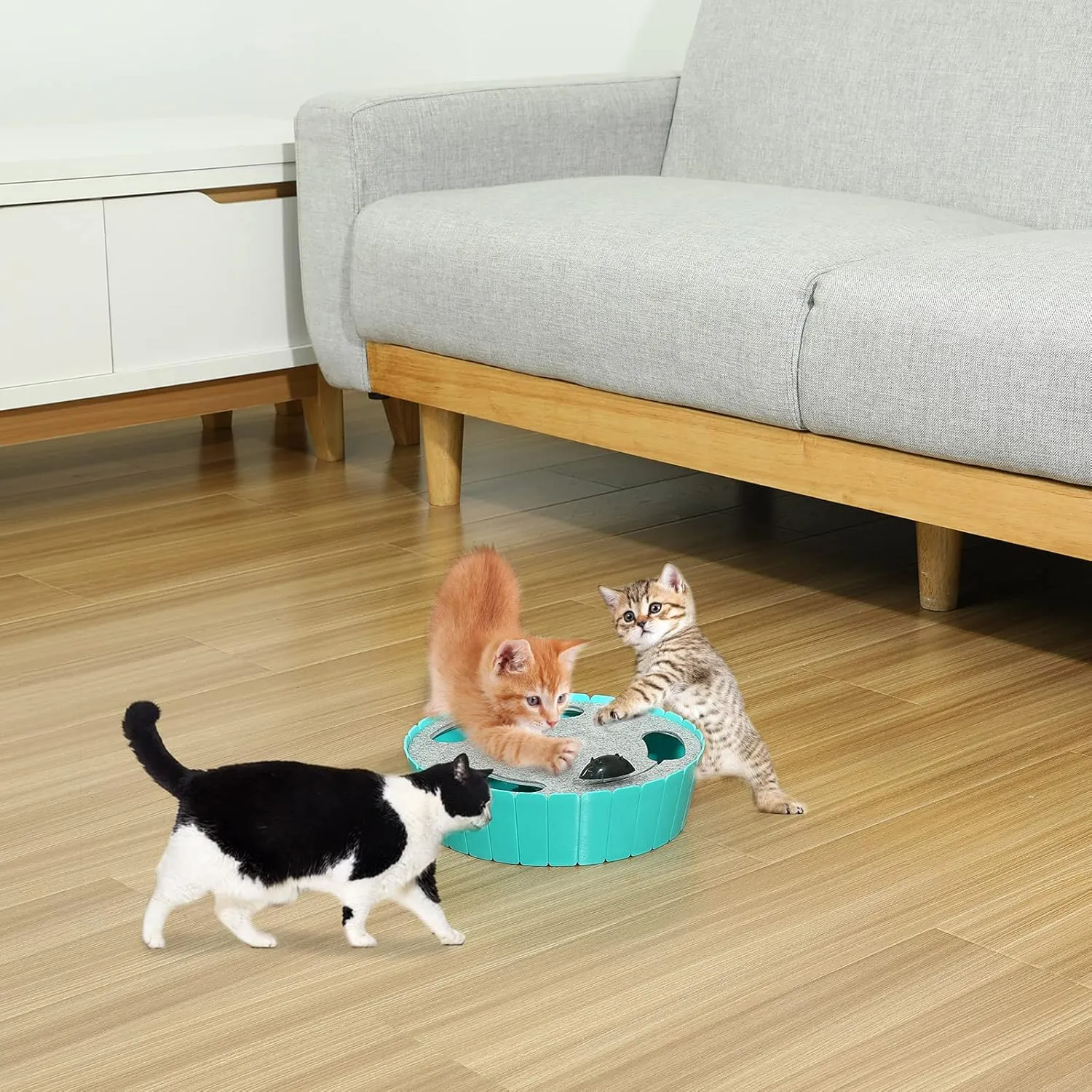 Pawaboo Interactive Cat Toy With Running Mouse, Electronic Motion Automatic Teaser for Indoor Cats, Pop and Play Hide Seek Hunting Mouse for Pet Kitten Play Fun Exercise, Lake Blue