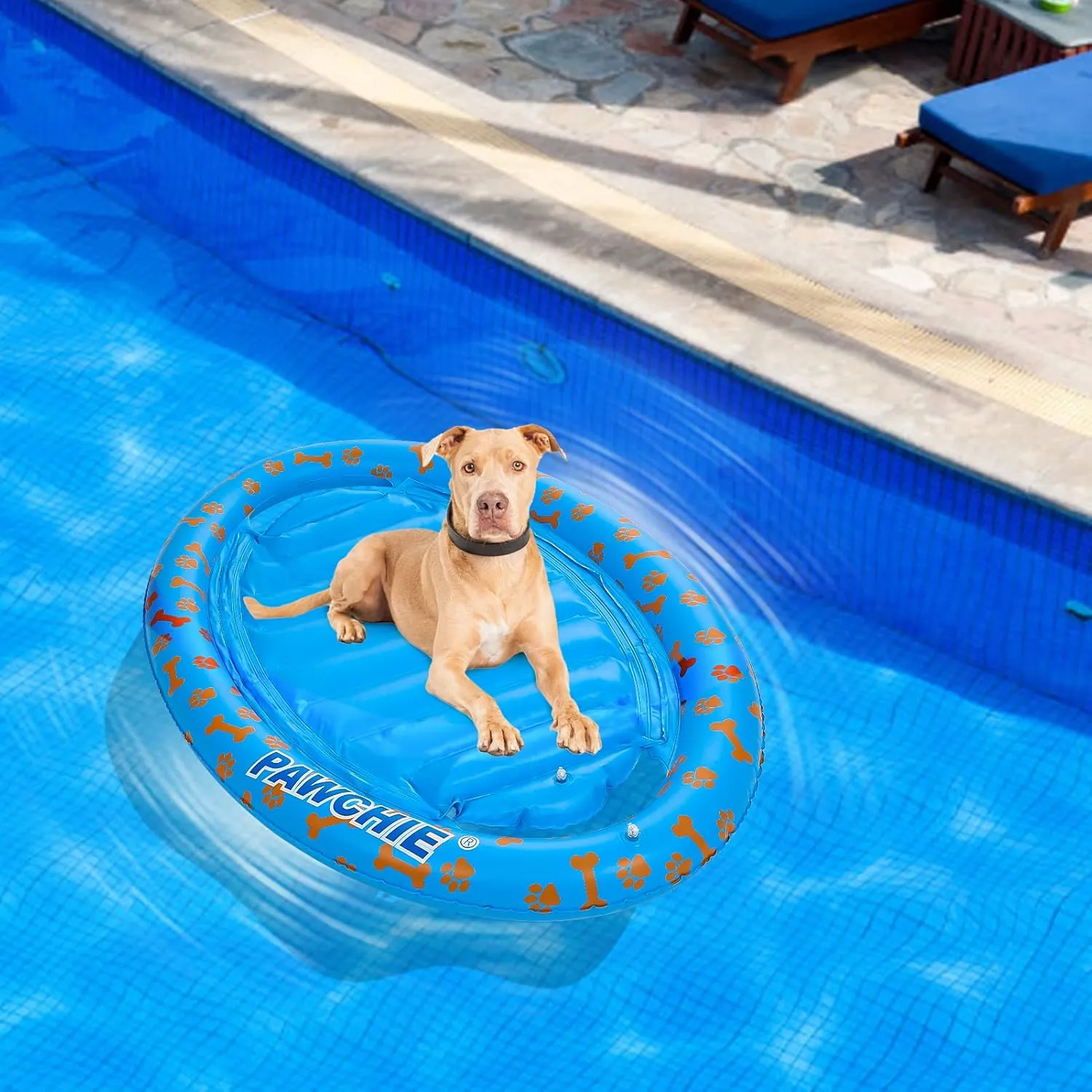 PAWCHIE Dog Pool Float - Inflatable Rafts, Inflatable Ride-ons for Pets Kids Summer Outdoor Water Games, Swimming Pool Water Toy