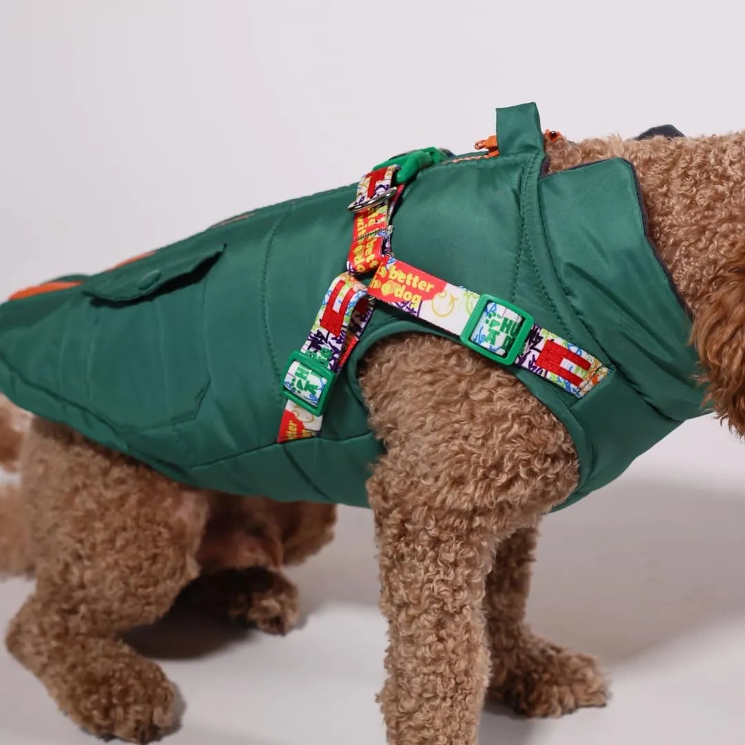 Pawlook Dog Raincoat with Chest Leash and Collar, Reusable Waterproof Pet Coat for Small Dogs, Medium Dogs, Large Dogs (Green, Large)