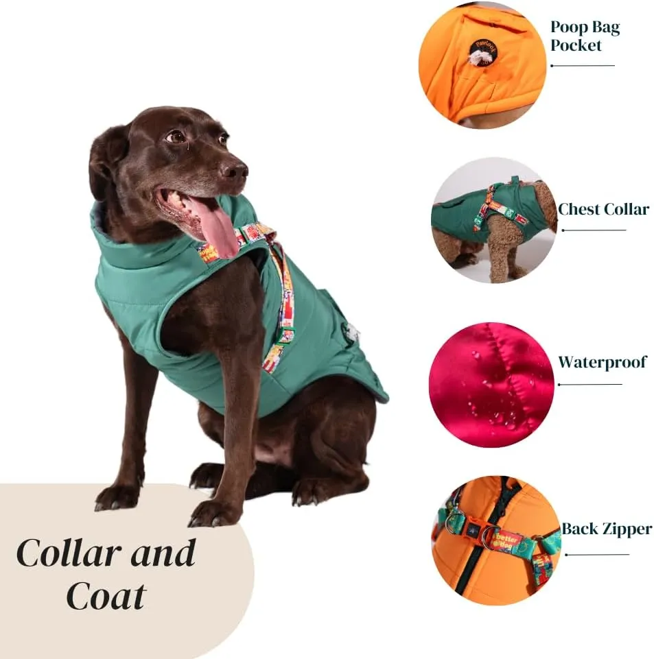 Pawlook Dog Raincoat with Chest Leash and Collar, Reusable Waterproof Pet Coat for Small Dogs, Medium Dogs, Large Dogs (Green, Large)