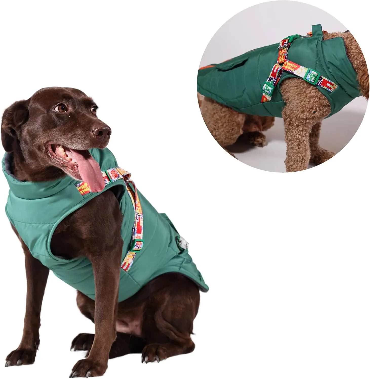 Pawlook Dog Raincoat with Chest Leash and Collar, Reusable Waterproof Pet Coat for Small Dogs, Medium Dogs, Large Dogs (Green, Large)