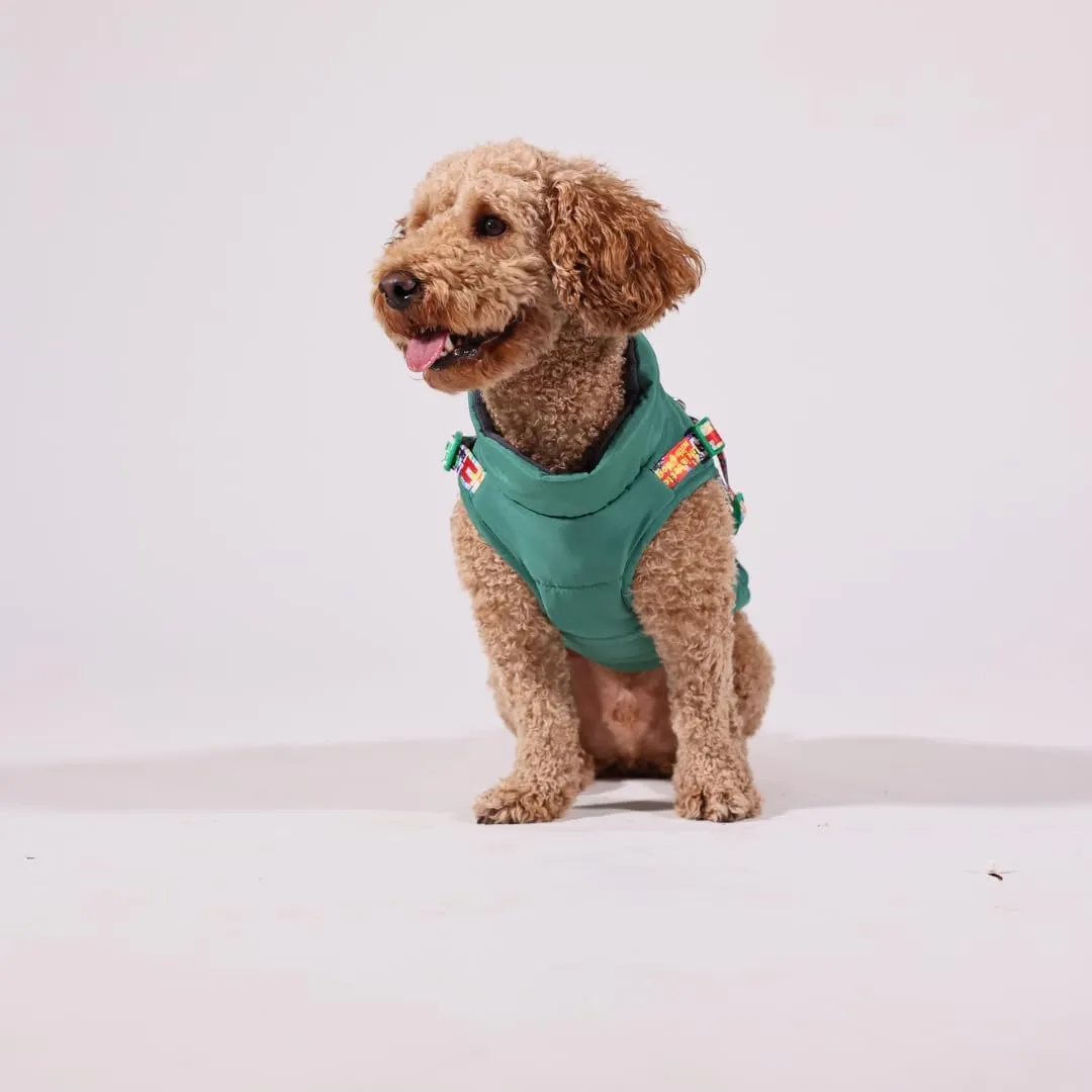 Pawlook Dog Raincoat with Chest Leash and Collar, Reusable Waterproof Pet Coat for Small Dogs, Medium Dogs, Large Dogs (Green, Large)