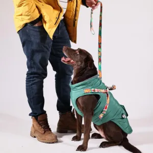 Pawlook Dog Raincoat with Chest Leash and Collar, Reusable Waterproof Pet Coat for Small Dogs, Medium Dogs, Large Dogs (Green, Large)