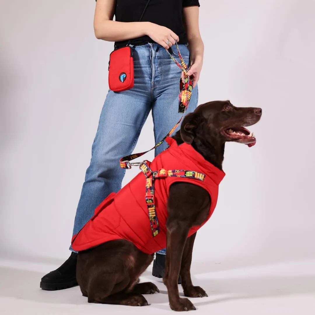Pawlook Dog Raincoat with Chest Leash and Collar, Reusable Waterproof Pet Coat for Small Dogs, Medium Dogs, Large Dogs (Red, X-Small)