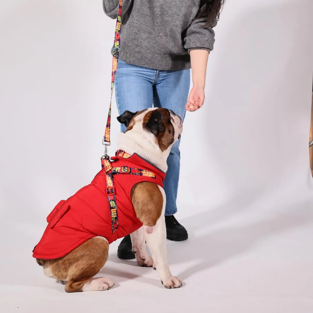 Pawlook Dog Raincoat with Chest Leash and Collar, Reusable Waterproof Pet Coat for Small Dogs, Medium Dogs, Large Dogs (Red, X-Small)