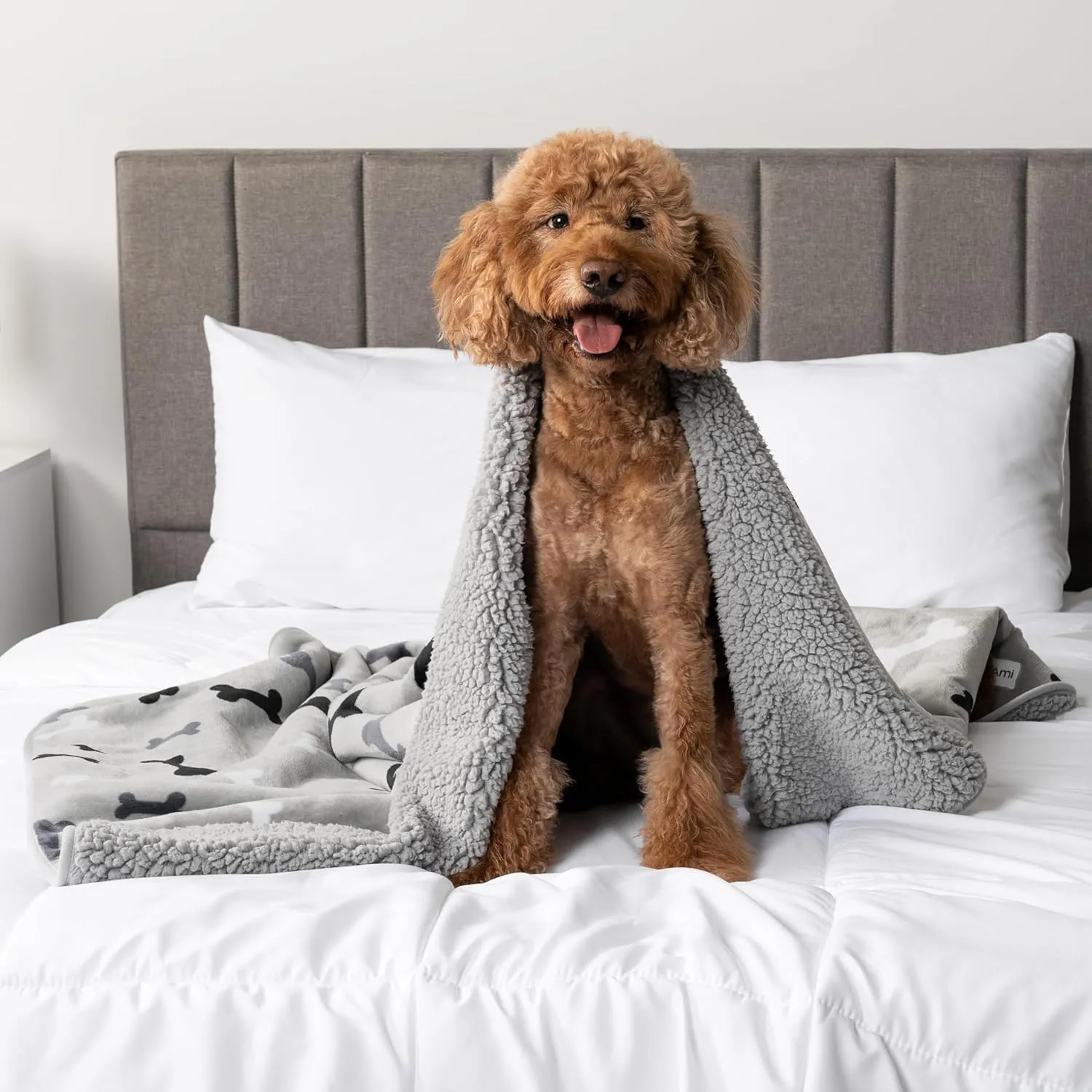 PetAmi Waterproof Dog Blanket Sherpa Fleece, Pet Medium Large Dogs, Reversible Cat Throw Bed Couch Sofa Furniture Protector, Soft Plush Microfiber (Large 40x60, Bone Print Gray), (40x60)