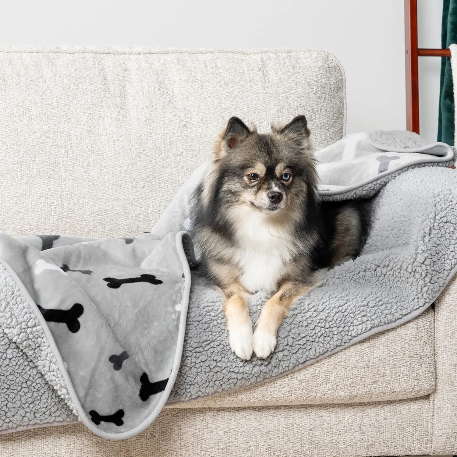 PetAmi Waterproof Dog Blanket Sherpa Fleece, Pet Medium Large Dogs, Reversible Cat Throw Bed Couch Sofa Furniture Protector, Soft Plush Microfiber (Large 40x60, Bone Print Gray), (40x60)