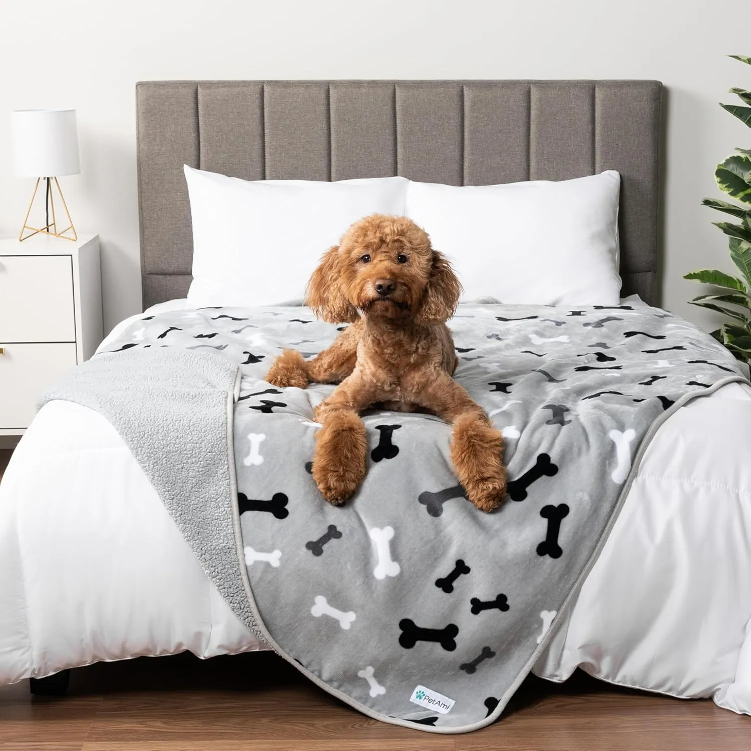 PetAmi Waterproof Dog Blanket Sherpa Fleece, Pet Medium Large Dogs, Reversible Cat Throw Bed Couch Sofa Furniture Protector, Soft Plush Microfiber (Large 40x60, Bone Print Gray), (40x60)