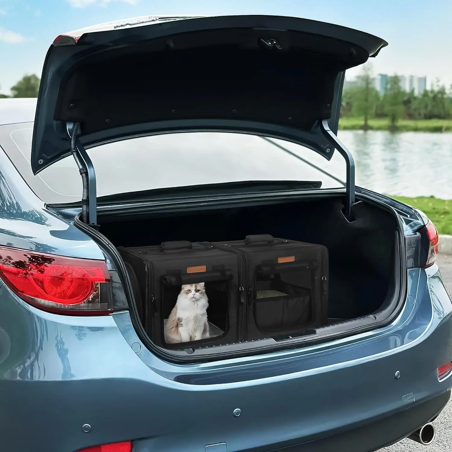 PETUX 2-in-1 Cat Carrier for 2 Small Cats and Dogs, 28"x14"x14" Collapsible Cat Travel Carriers with Little Box, Portable Soft Pet Carrier with Tunnels and Hammock for Gift, Indoor, Outdoor (Black)