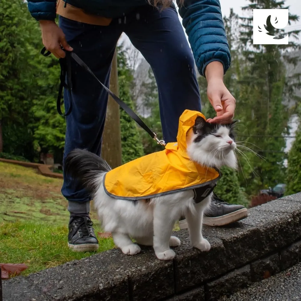RC Pets Packable Rain Poncho, Dog Coat, X-Large, Raindrops