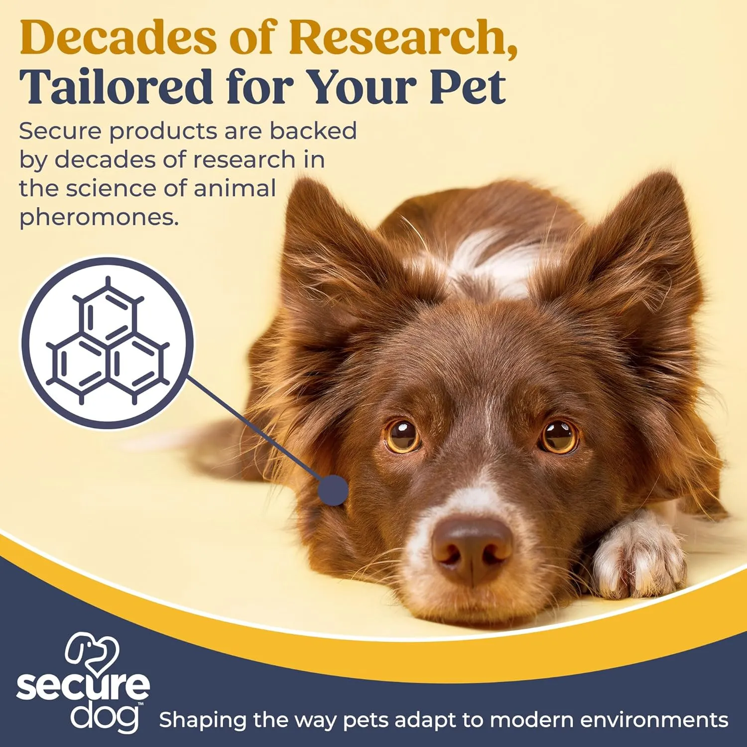 Secure Dog Transport, Water Based Calming Travel Spray, Naturally Supports Calm and Wellbeing Helping Relieve Any Feeling of Anxiety or Stress