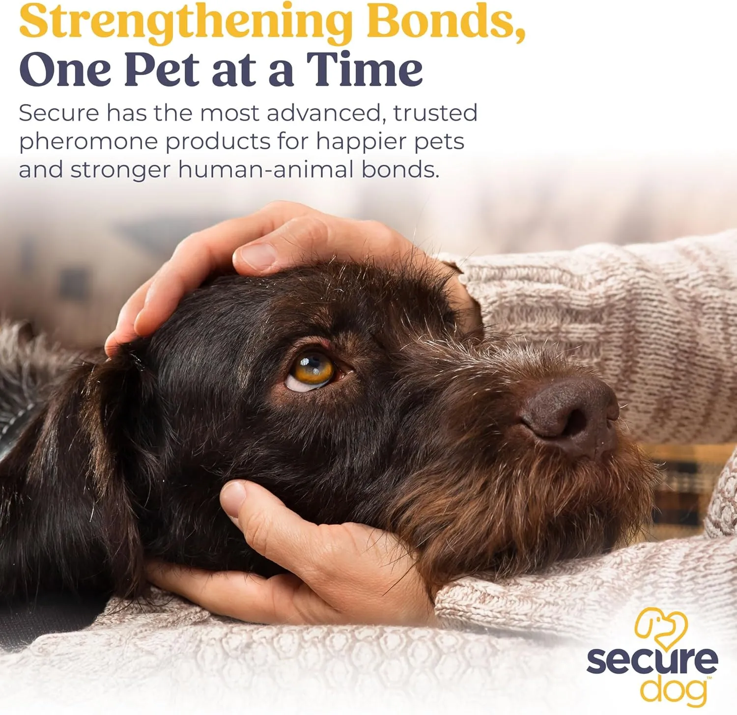 Secure Dog Transport, Water Based Calming Travel Spray, Naturally Supports Calm and Wellbeing Helping Relieve Any Feeling of Anxiety or Stress