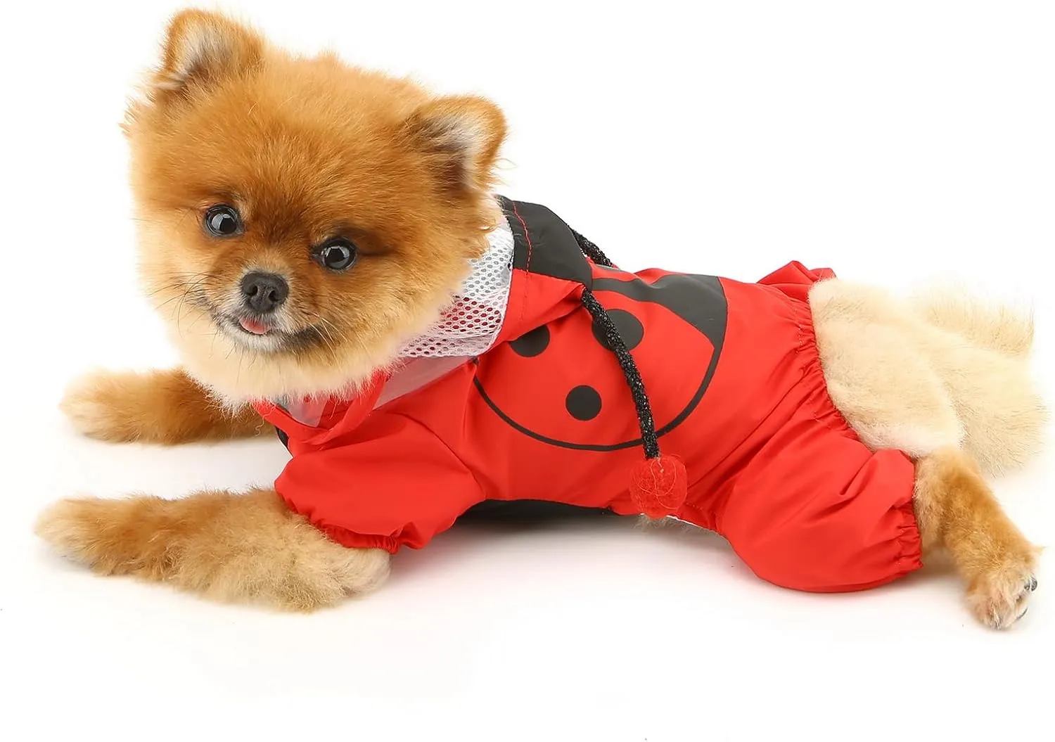 SMALLLEE_LUCKY_STORE Cute Ladybug Waterproof Dog Raincoats with Hood for Small Medium Dogs with Leash D-Ring Lightweight Pet Rain Jacket Puppy Poncho Chihuahua Clothes, Red, M