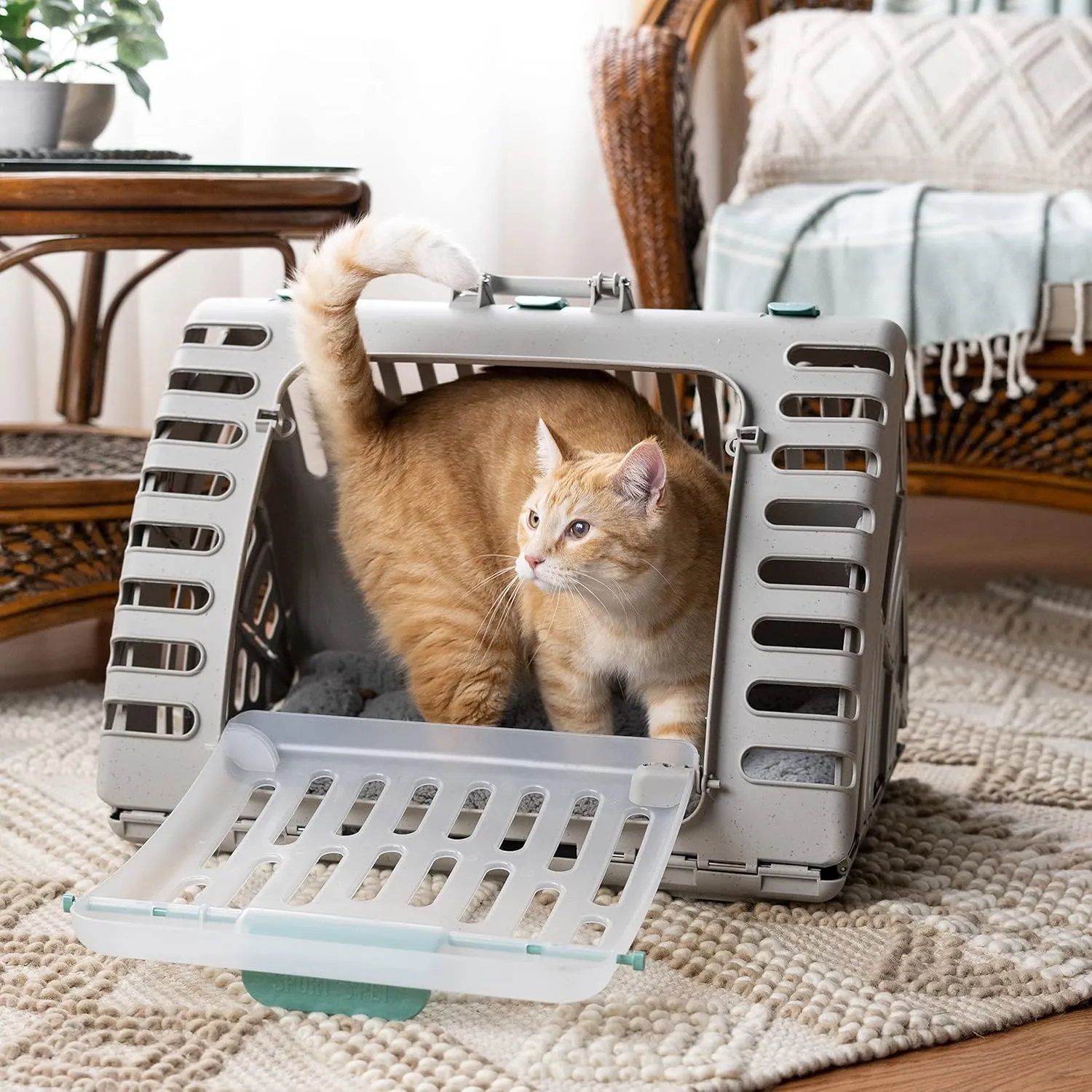 SportPet Designs Foldable Travel Cat Carrier - Front Door Plastic Collapsible Carrier Collection, Waterproof Bed