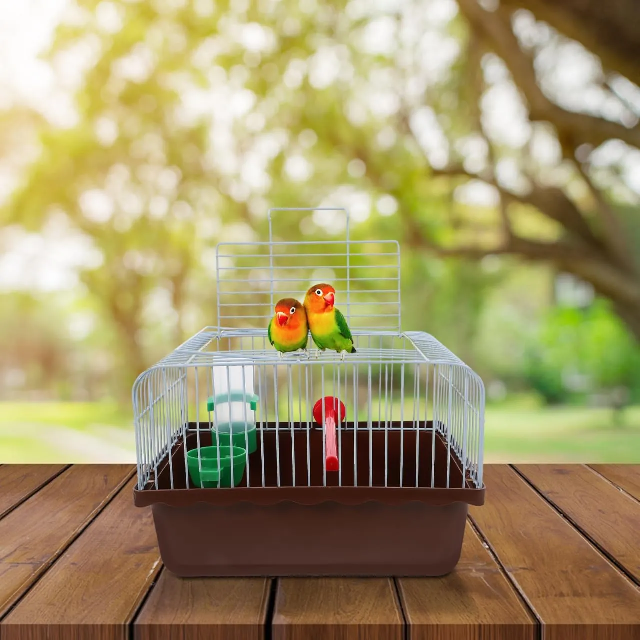 Vanzack Portable Bird Carrier - Travel Cage for Parakeets & Cockatiels