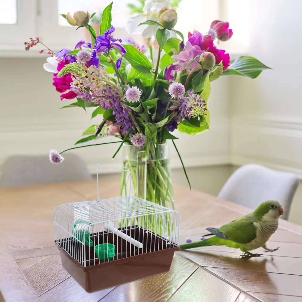 Vanzack Portable Bird Carrier - Travel Cage for Parakeets & Cockatiels