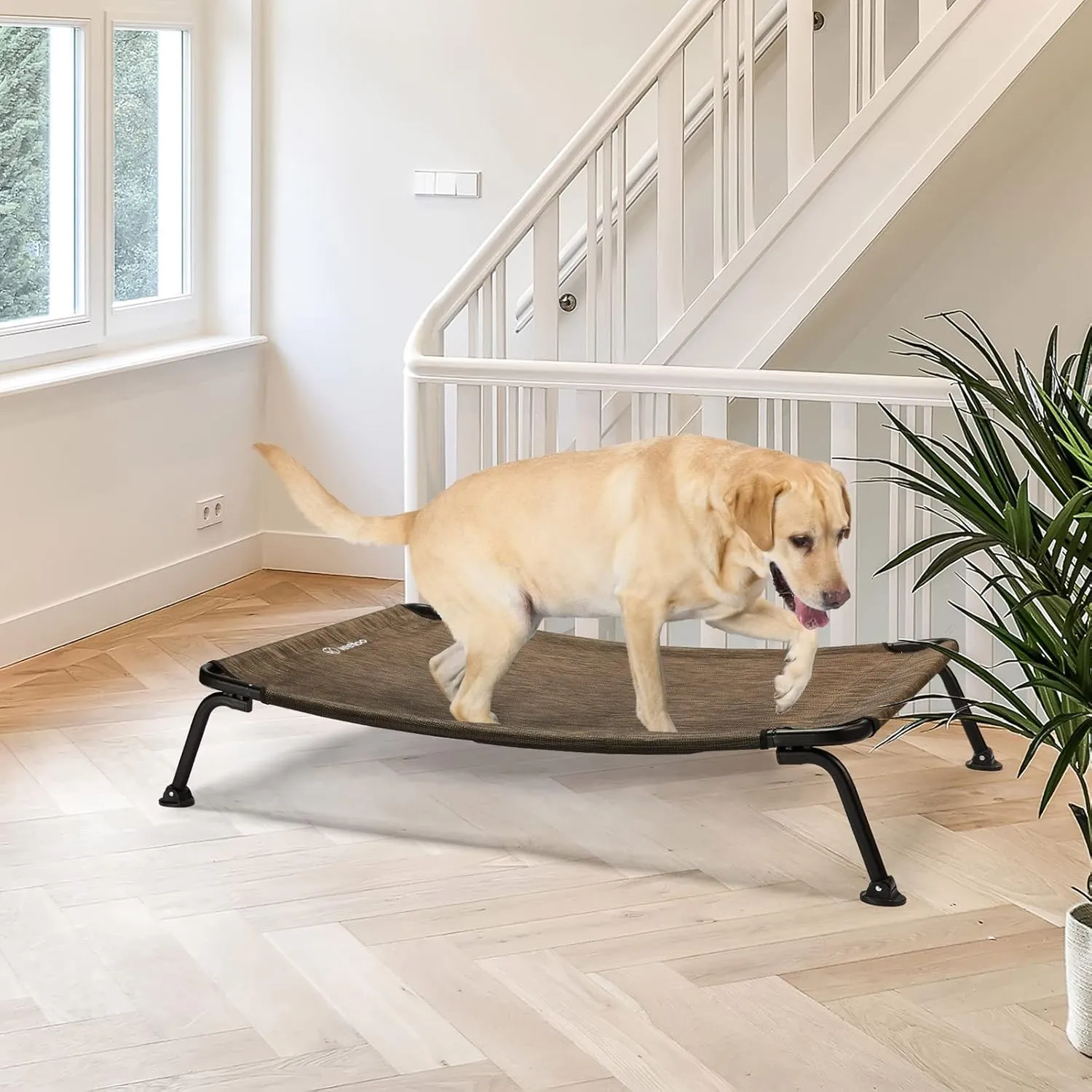 Veehoo Elevated Raised Dog Cot Beds, Curved Outdoor Dog Bed Elevated Dog Bed Off Ground Lifted Hammock Indoor Pet Bed with Breathable Teslin Mesh for Indoor Outdoor, up to 120lbs, Brown 42"