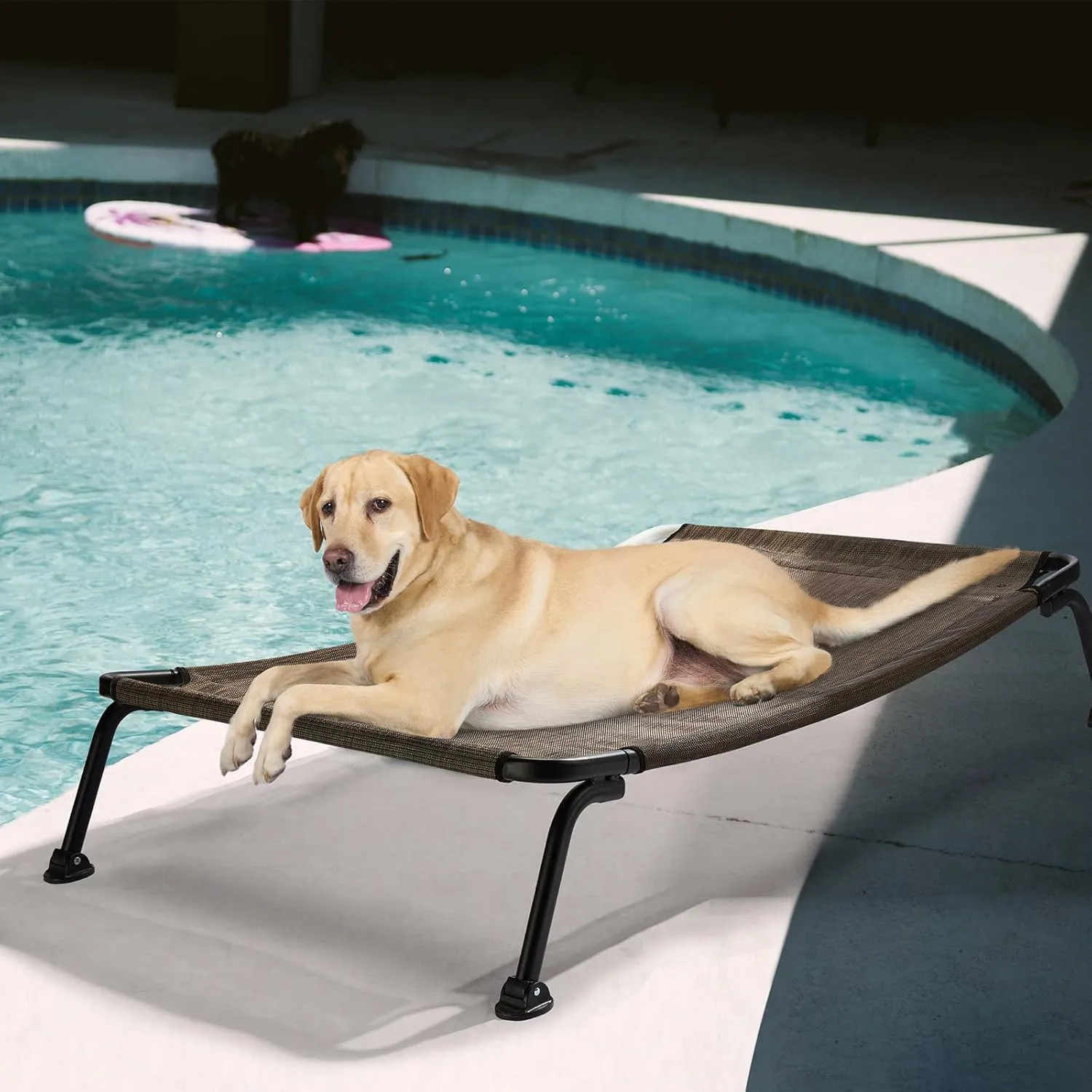 Veehoo Elevated Raised Dog Cot Beds, Curved Outdoor Dog Bed Elevated Dog Bed Off Ground Lifted Hammock Indoor Pet Bed with Breathable Teslin Mesh for Indoor Outdoor, up to 120lbs, Brown 42"
